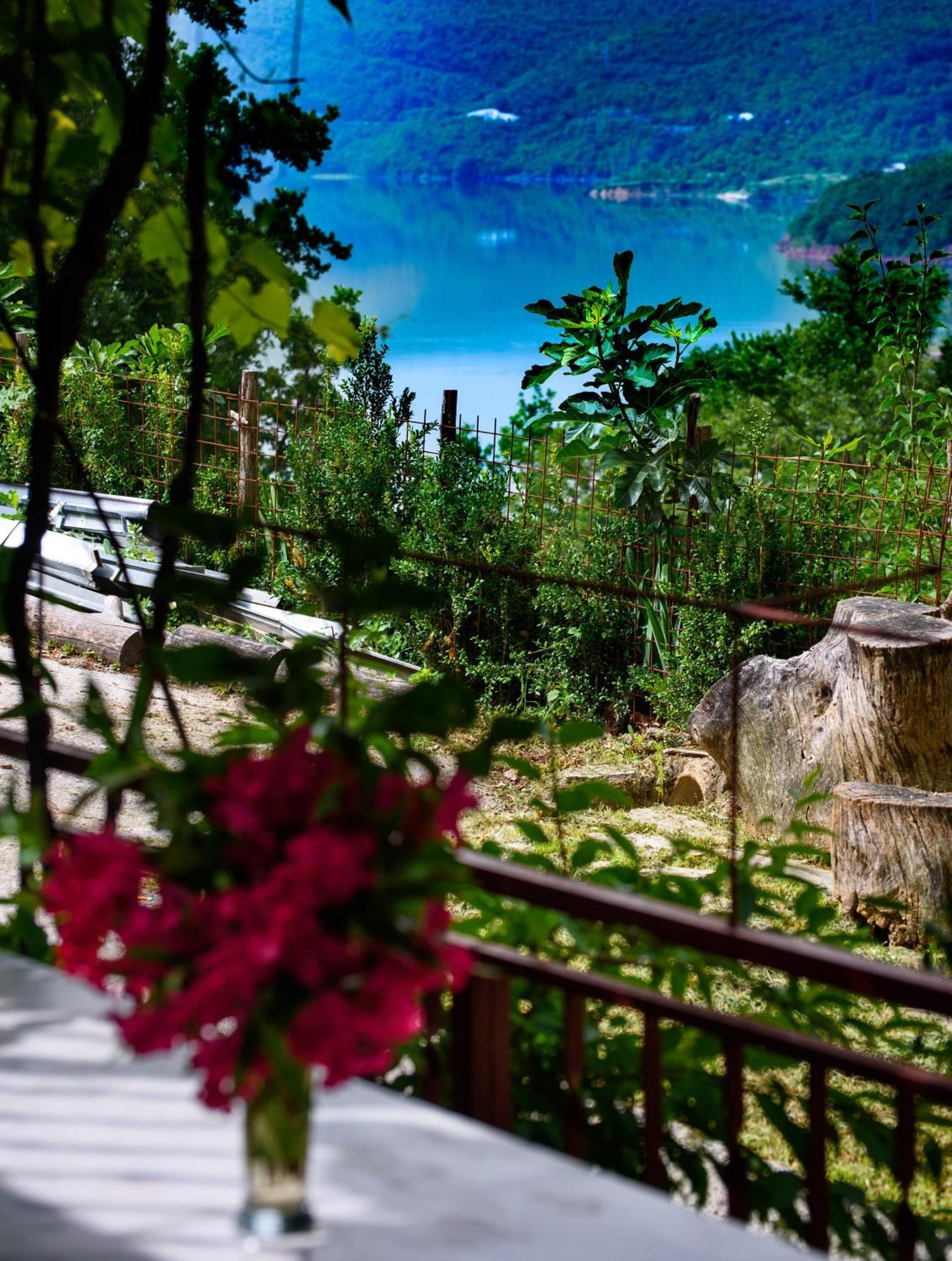 Apartments Cvitini Dvori Garjak Vrlika Dış mekan fotoğraf