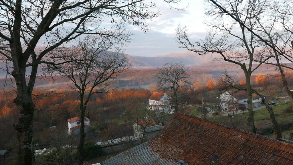 Apartments Cvitini Dvori Garjak Vrlika Dış mekan fotoğraf